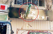 Mumbai: Peacock Spotted In Bandra, Forest Dept To Investigate Matter